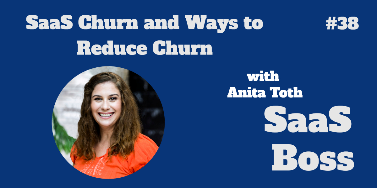 SaaS Churn and Ways to Reduce Churn, with Anita Toth
